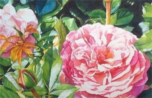 2023年8月6日出行指南：宜嫁娶、开市及安床的最佳时机