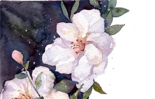 今日农历二〇二六年八月廿九黄历出门不适宜吗,出行吉日