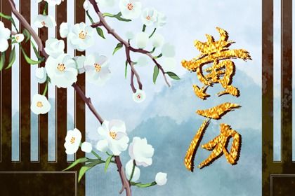 1963属兔什么命_1963属兔什么命穿白颜色鞋好呢