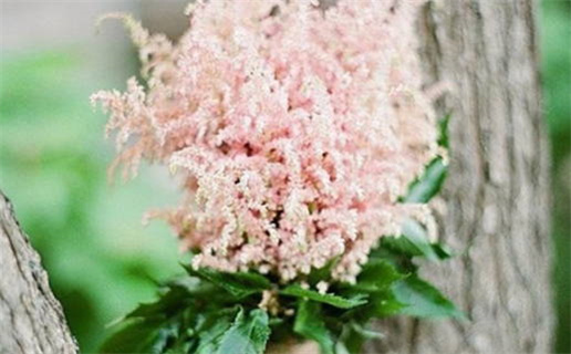 烧香与命运：探索信仰背后的深刻意义