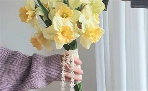 属羊2003出生是什么命(属羊2003出生是什么命格)