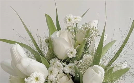 命里有时终须有的歌声与人生哲理解析