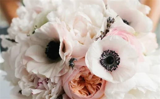 1983年猪年出生命运分析与性格特征解析