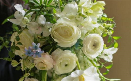 1991的属羊是什么命