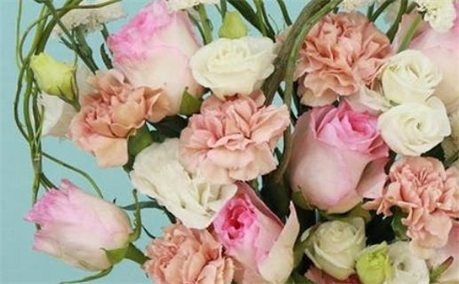 什么是病 什么是命