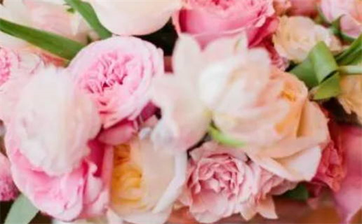 2025年是什么年什么命(2025年是什么年什么命五行属什么)