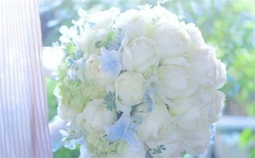 三月份黄道吉日(三月份黄道吉日2026年)