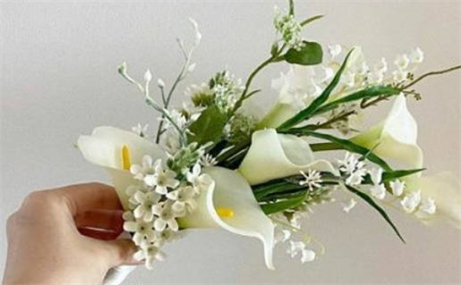 慈悲富贵命的深刻解析与人生启示