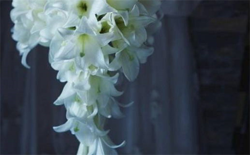 2013本命年必备注意事项提升运势的秘诀