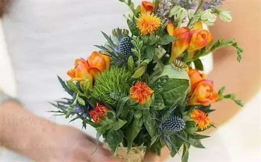 三月初四出生命运解析与运势影响