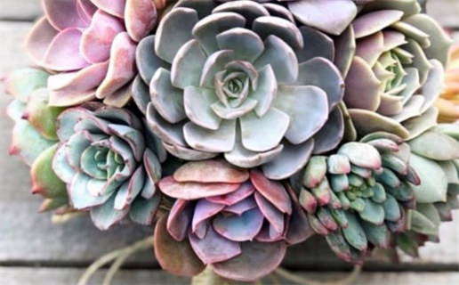 1973年属牛人的命运解析与人生运势指导