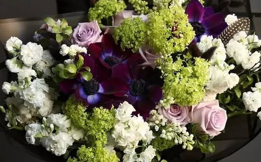 66年属马人的命运解析及个性特点