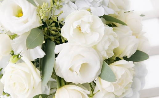 六七年属羊命运解析与性格特点分析