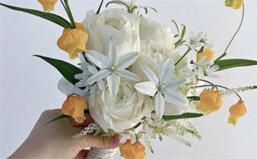 膜蛤续命的含义与网络文化探讨