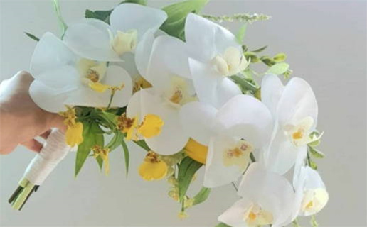 2000年龙命运解析揭示人生性格与运势分析