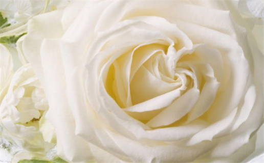 12月份适合装修开工的黄道吉日_12月份适合装修开工的黄道吉日有哪些