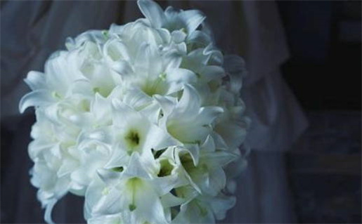 水命女生的命理解析与性格特点