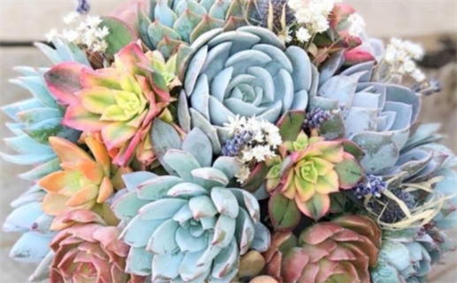 下午四点出生是什么命_下午四点出生是什么命运