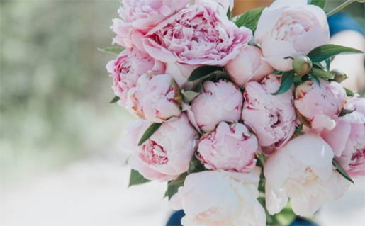 2011年是什么命年揭秘及其影响分析