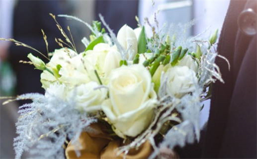 生肖鼠和猴匹配吗属相(生肖鼠和猴匹配吗属相是什么)