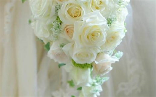 2024年是什么命年_2024年是什么命年?