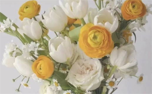 1967年是什么命年