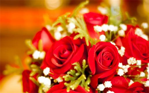 金命人适合做什么生意提升财富与事业成功的选择