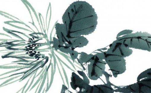 1979属羊是什么命