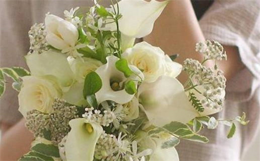 农历四月十四是什么命(农历四月十四是什么命运)