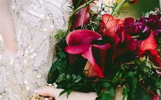 1986年8月什么命