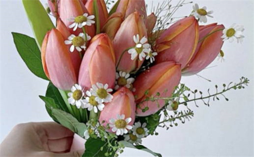 2014年命理解析属相与命运深度解读