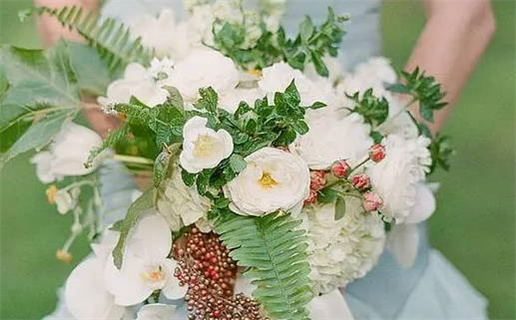 1986年属相命运解析与运势分析