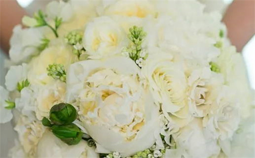 路旁土和什么命最配_路旁土和什么命最相配