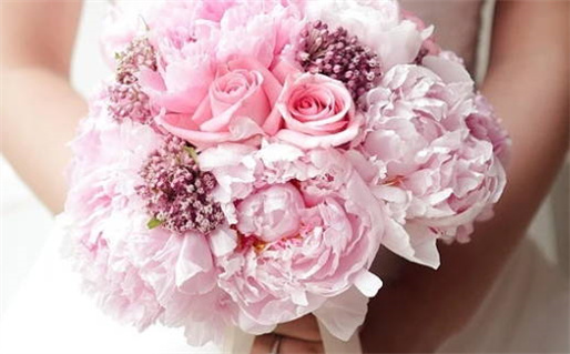 动漫城名字推荐让你的二次元世界更精彩