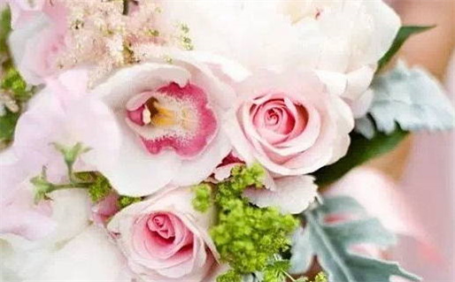 腊月十七出生是什么命_1986腊月十七出生是什么命