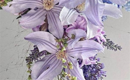 1999年属兔是什么命(1999年属兔是什么命五行属什么)