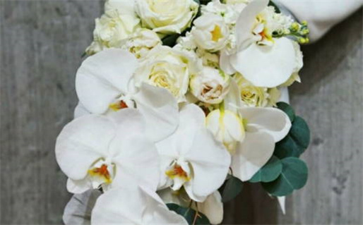 75年属兔是什么命_75年属兔是什么命 五行属什么