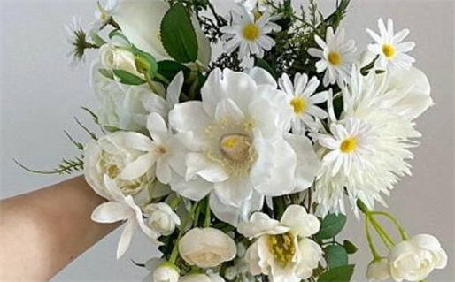 如何查询自己的命运 属相与八字全解析