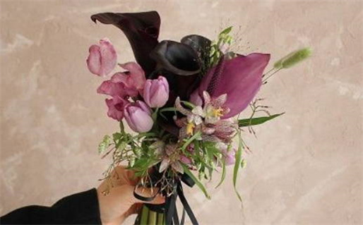 午时出生的女孩什么命_午时出生的女孩什么命运