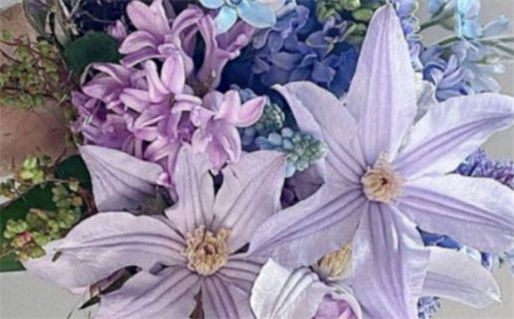 93年11月出生人的命运解析与性格特点