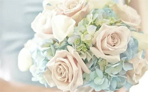 2019年属猪人的命理分析与运势揭秘