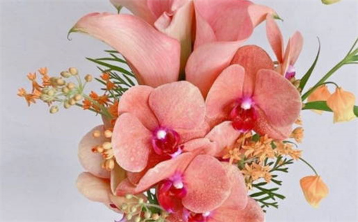 1966年是什么命五行属什么命