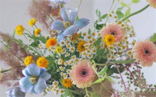 沙中土命适合什么职业_沙中土命适合的职业