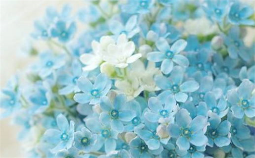 摩羯座男生是否会喜欢不漂亮的女生解析