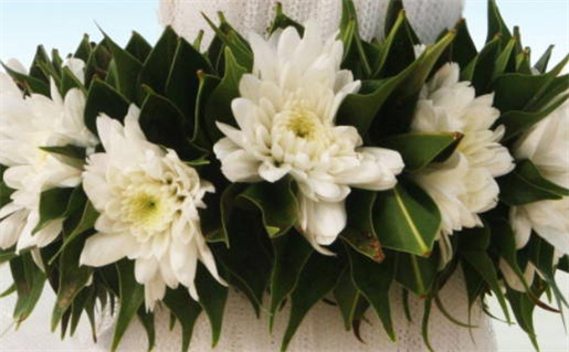 1948年出生命运解析与人生运势探索