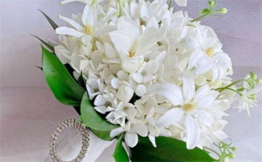 金牛座对你说关心的话是真的吗_金牛座对你说关心的话是真的吗知乎