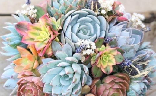 3月份装修的黄道吉日_3月份装修的黄道吉日查询