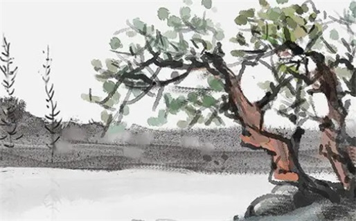 女命伤官伤尽分析与解读生命运势影响