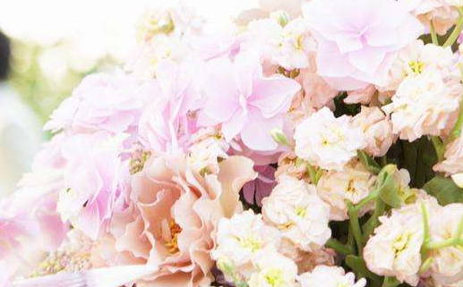 什么命的人不适合养鱼_什么命的人不适合养鱼呢