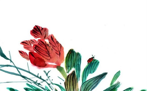 女命三奇会配什么配偶(女命三奇会配什么配偶呢)